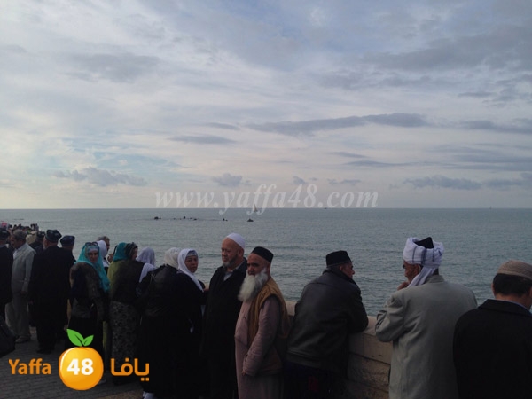 wofod tajekstna (5).JPG